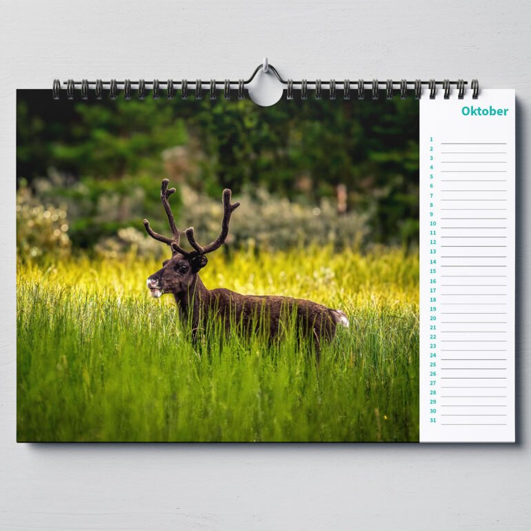 calendar with animal photo's