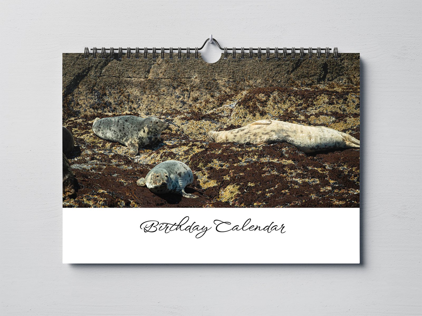 Birthday Calendar with Beautiful Animal Photography - A4 Landscape - Image 2