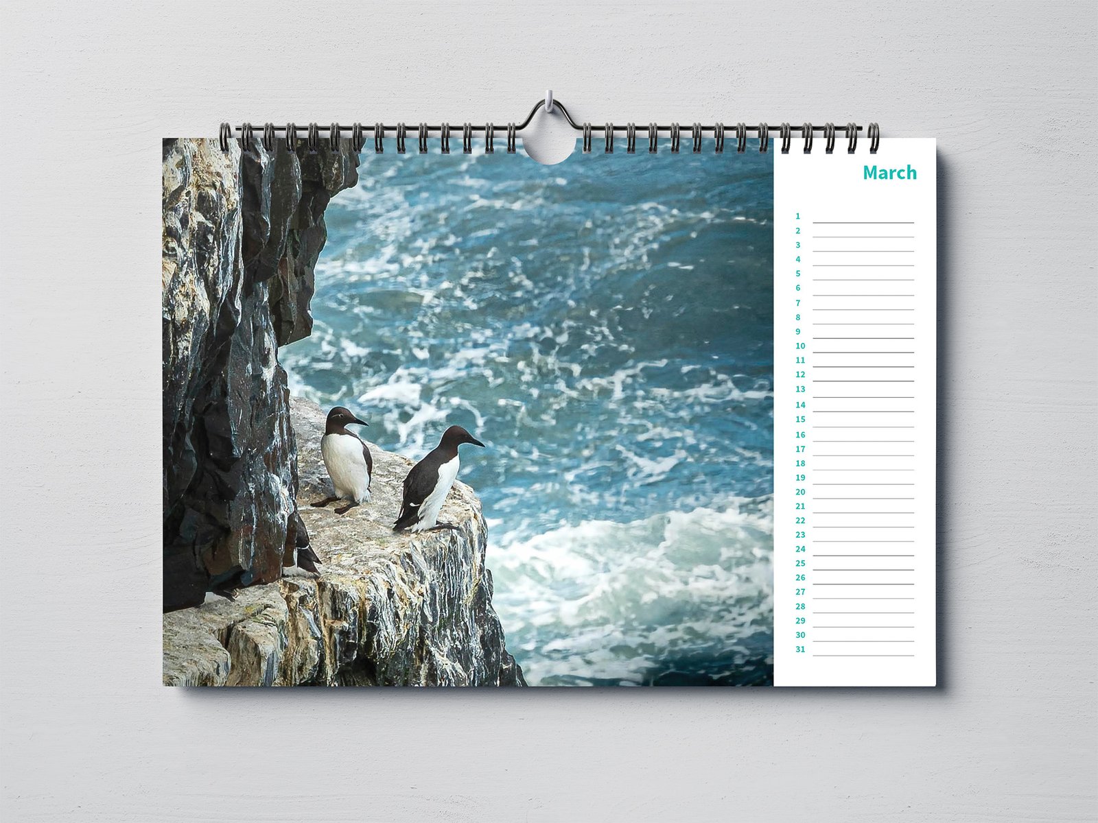 Birthday Calendar with Beautiful Animal Photography - A4 Landscape - Image 3