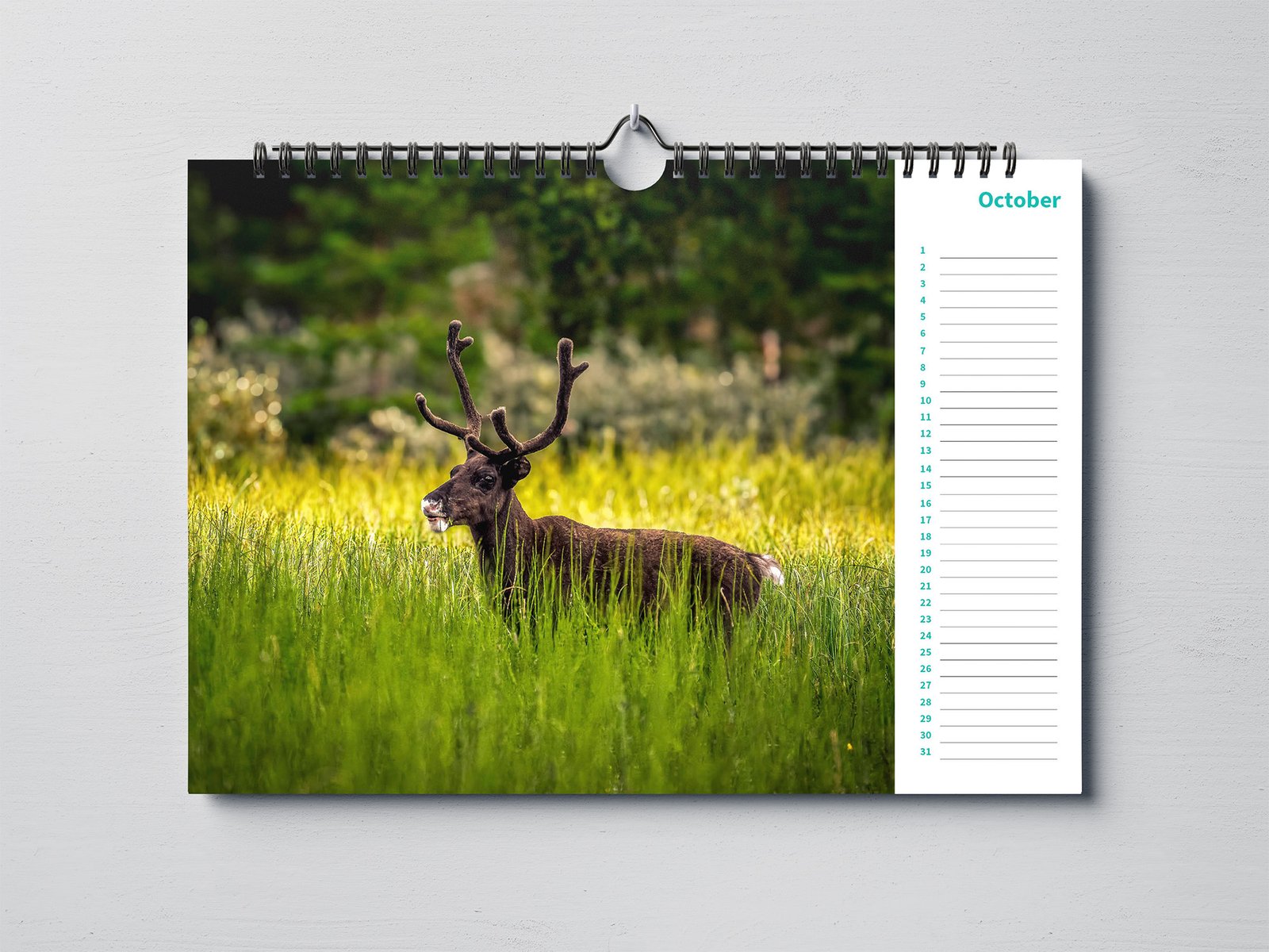 Birthday Calendar with Beautiful Animal Photography - A4 Landscape - Image 4