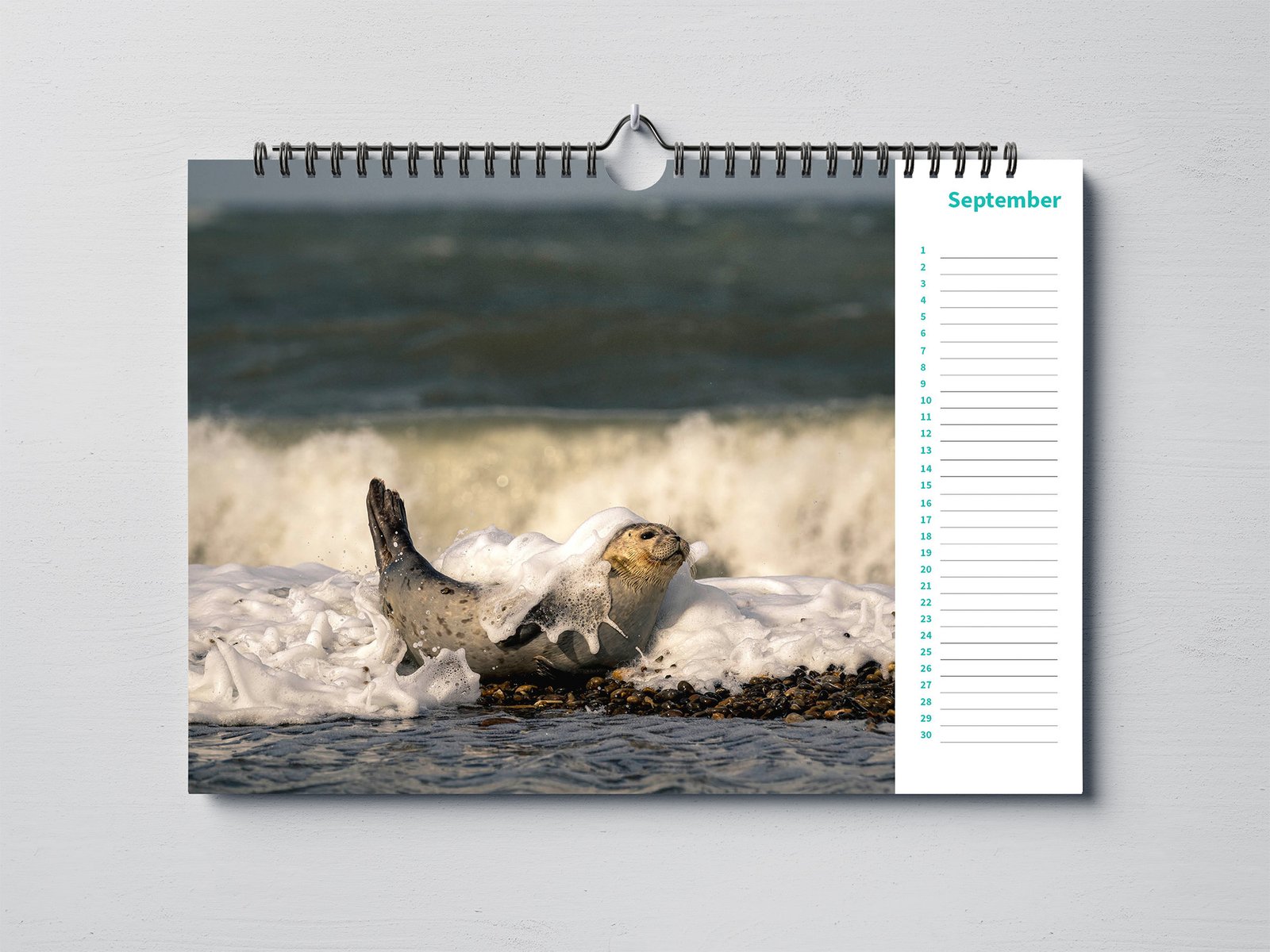 Birthday Calendar with Beautiful Animal Photography - A4 Landscape - Image 5