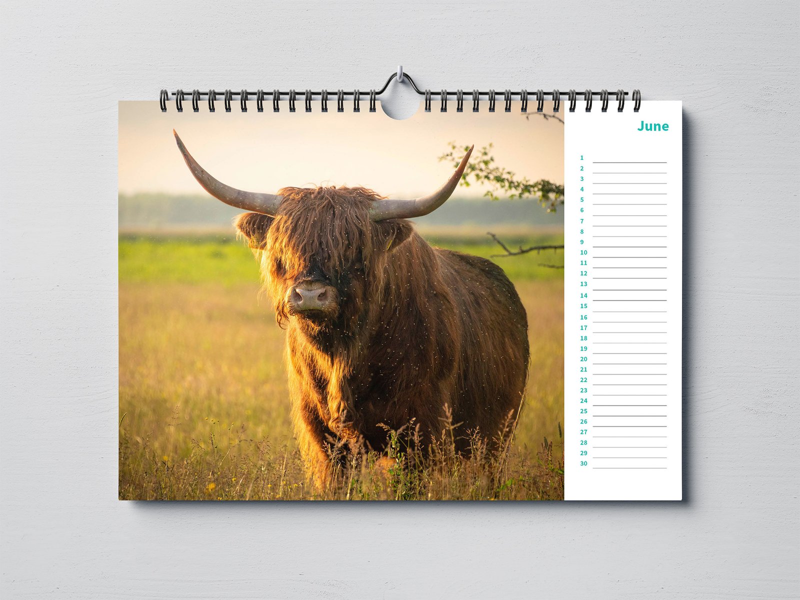 Birthday Calendar with Beautiful Animal Photography - A4 Landscape - Image 6