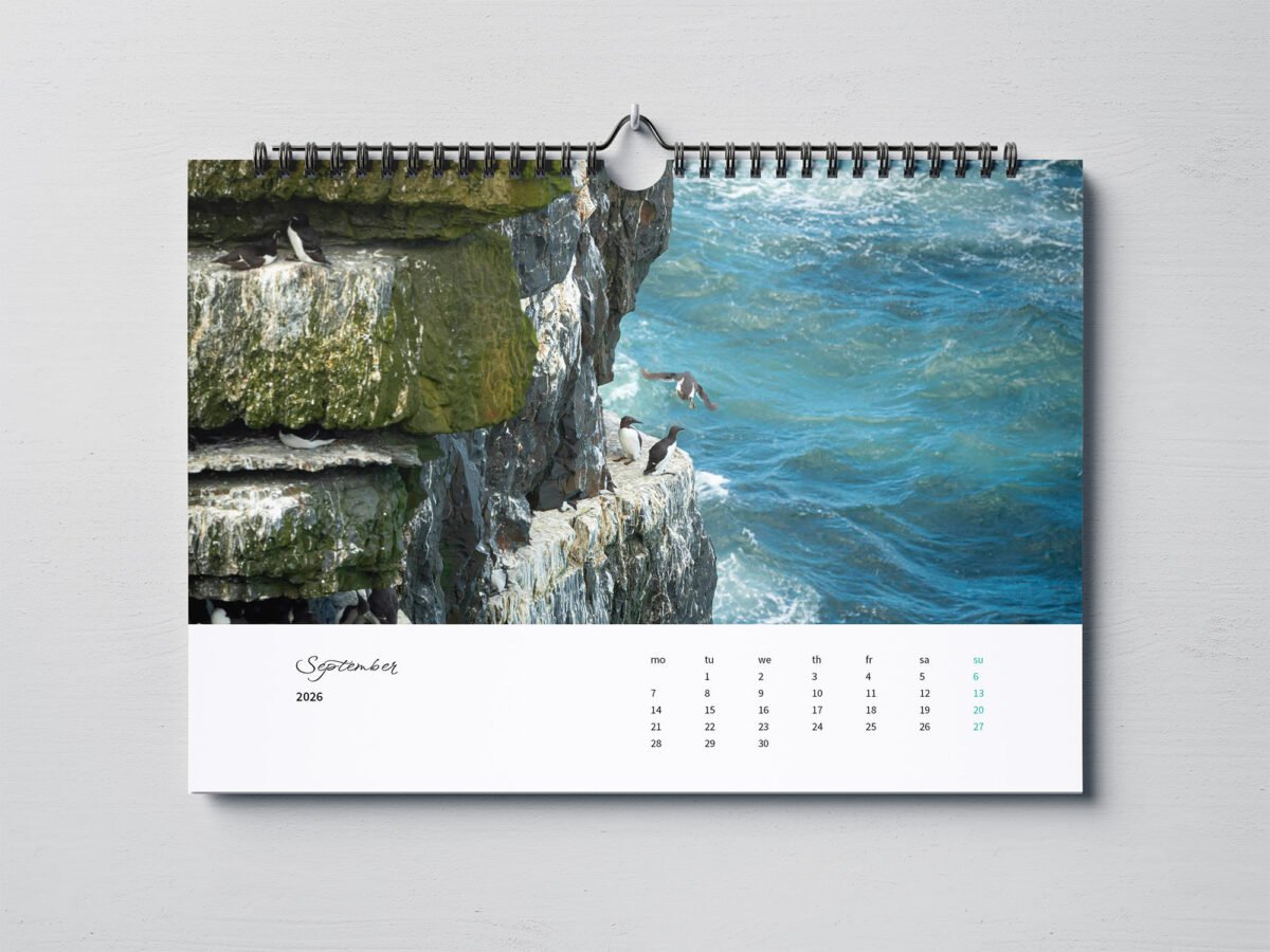 calendar with photos of Ireland