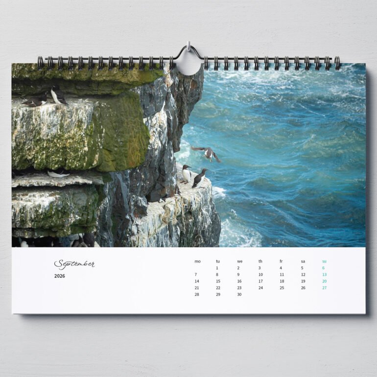 calendar with photos of Ireland