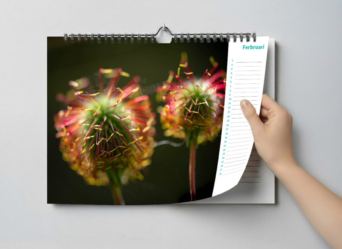 calendar with close up photos