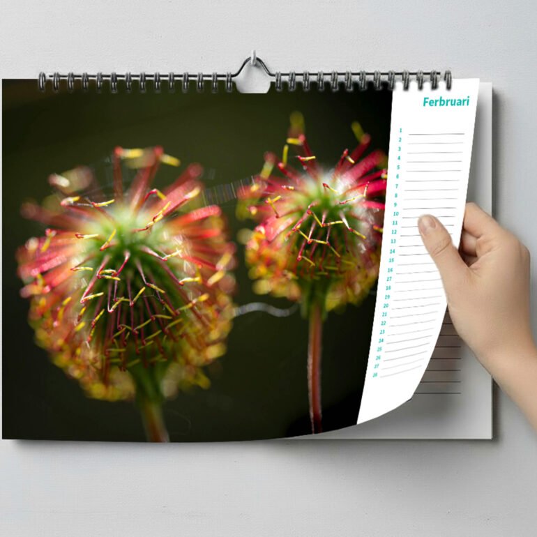 calendar with close up photos