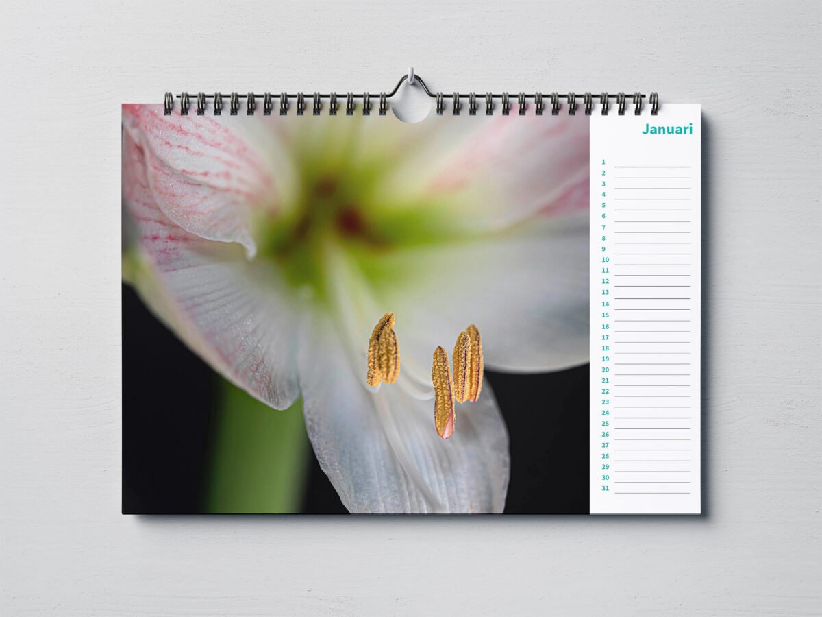 calendar with close up photos