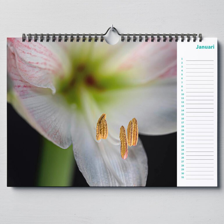 calendar with close up photos