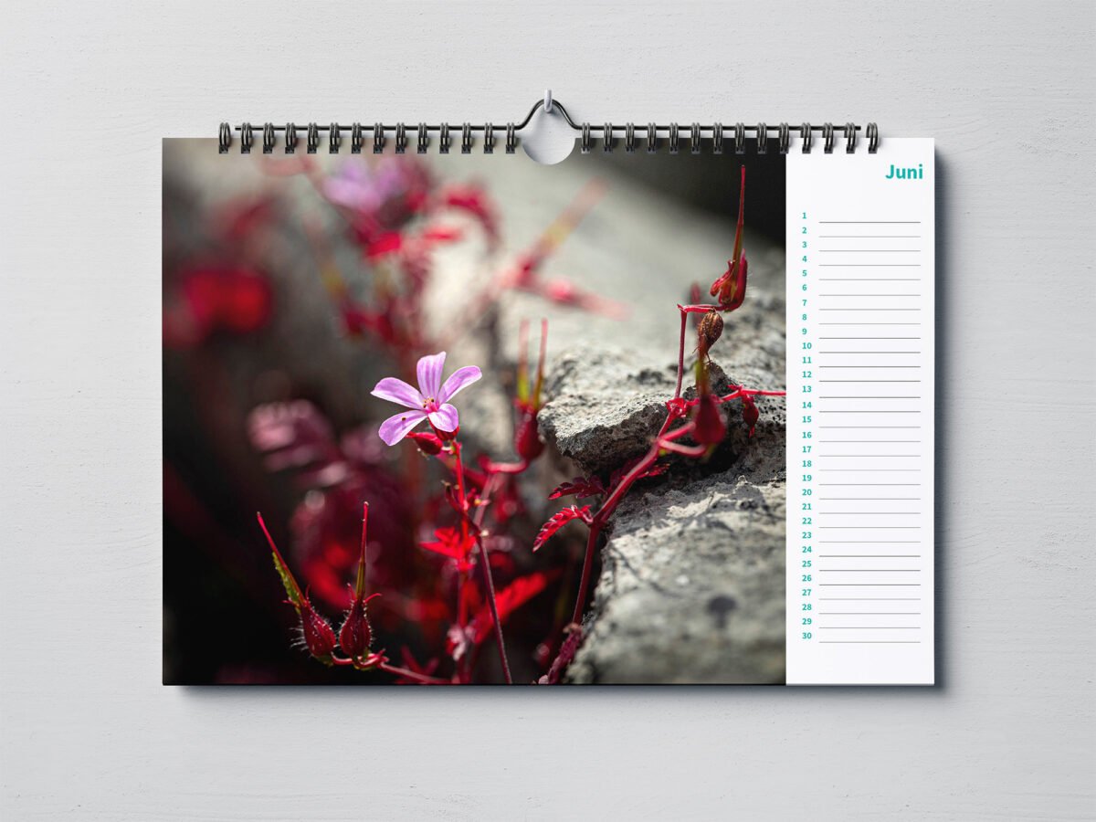calendar with close up photos