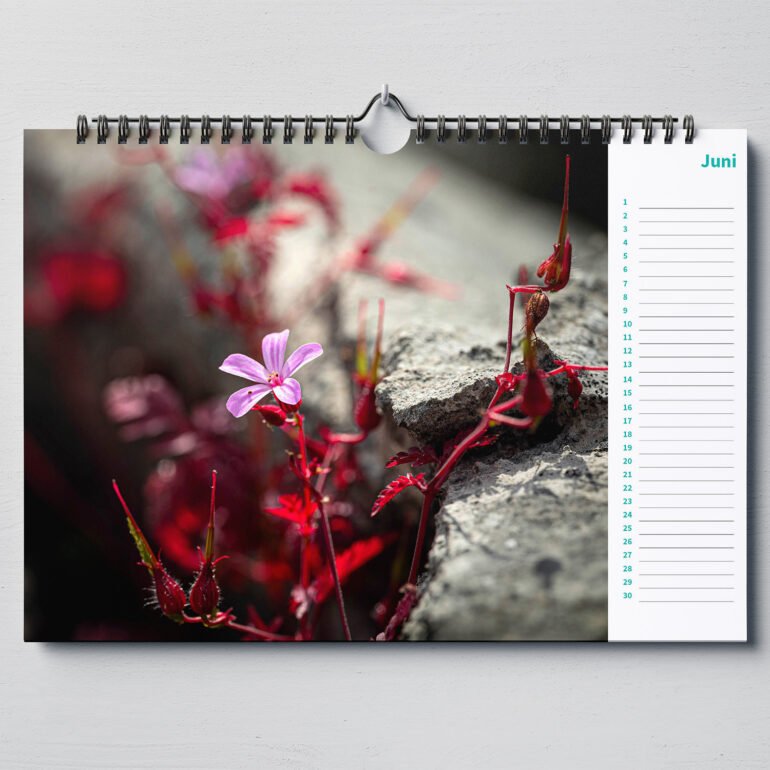calendar with close up photos