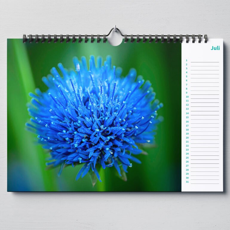 calendar with close up photos