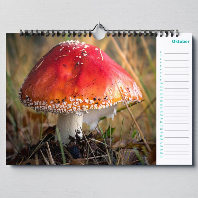 calendar with close up photos