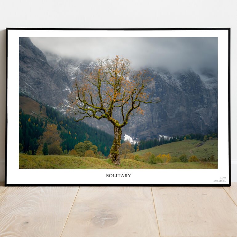 fine art print of solitary tree in autumn in the mountains