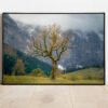 fine art print of solitary tree in autumn in the mountains