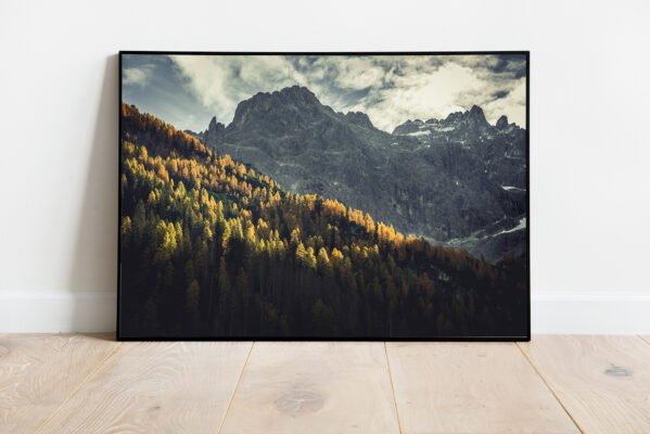 fine art print of nicely lit mountain ridge with yellow larches