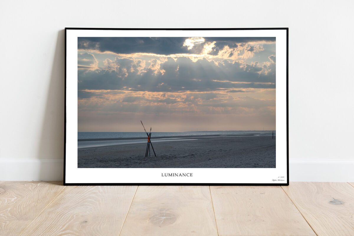 fine art print of stick on the beach at sunset