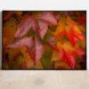 fine art print of autumn leaves