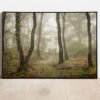 fine art print of birch trees in the mist