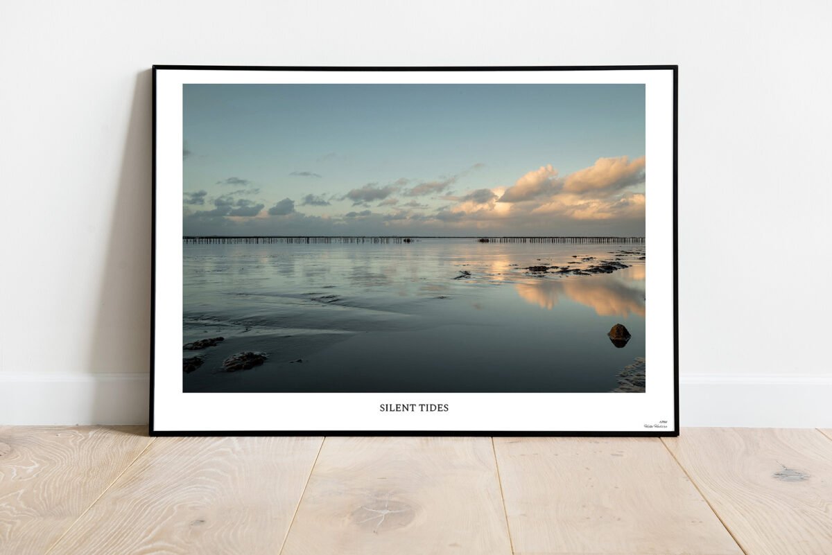 fine art print of calm sea