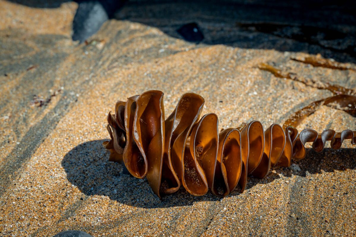 Fanore Beach rotsen kalksteen laagwater