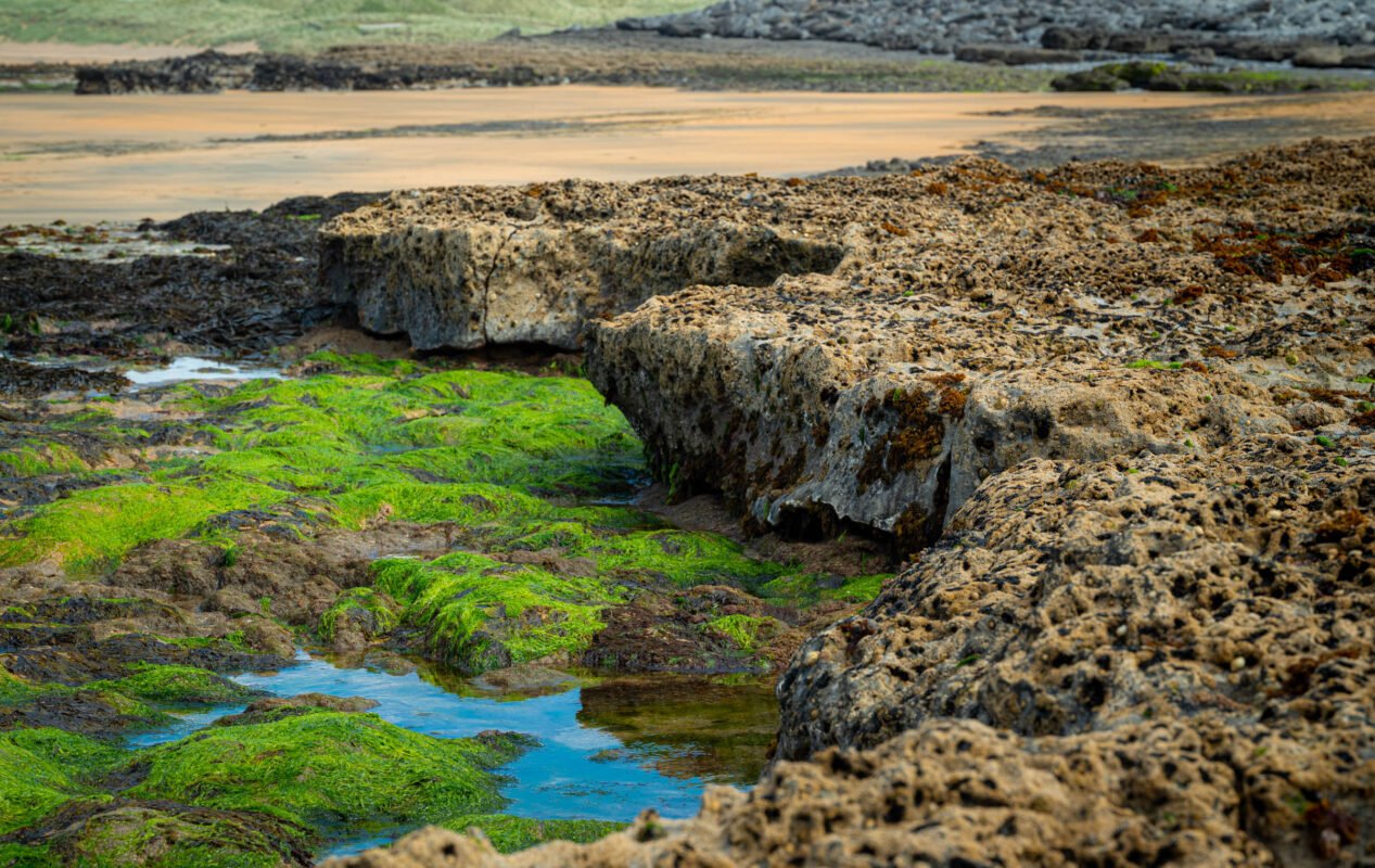 Fanore Beach structuren zand stenen fotografie paradijs