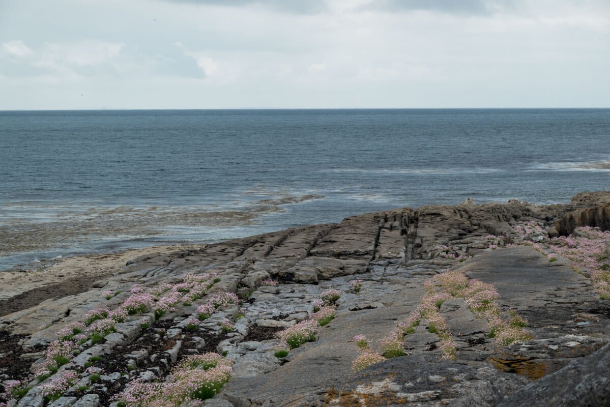 Inisheer ruins old buildings