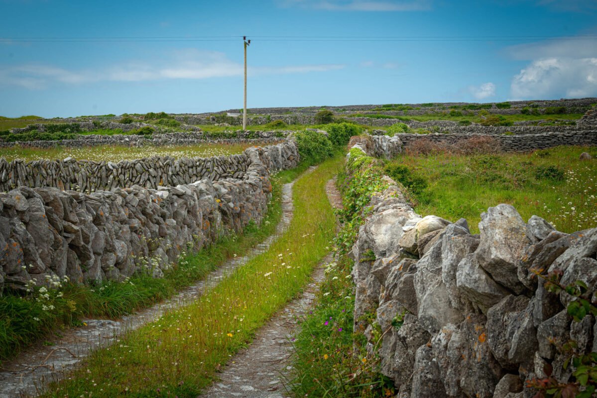 Inisheer typical landscape stone walls green meadows