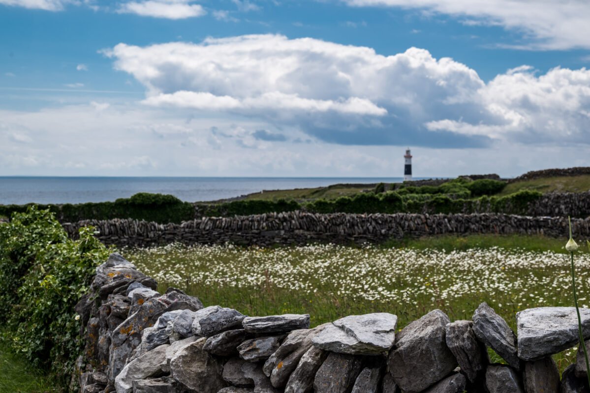 Inisheer traditional landscape meadows