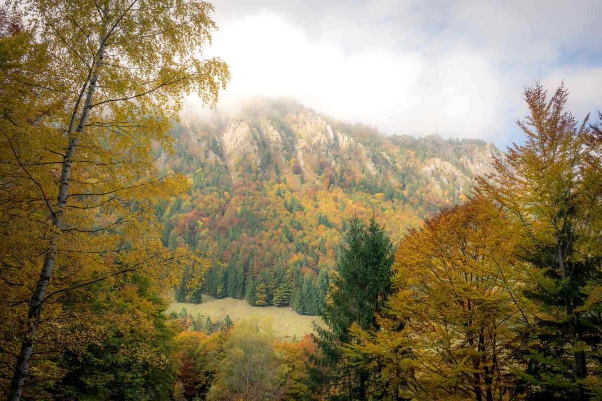 Flowing water long exposure