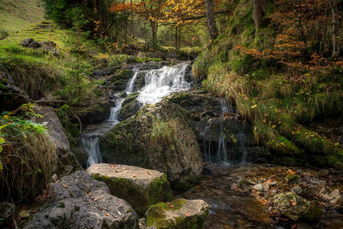 Stream through autumn forest Bavaria