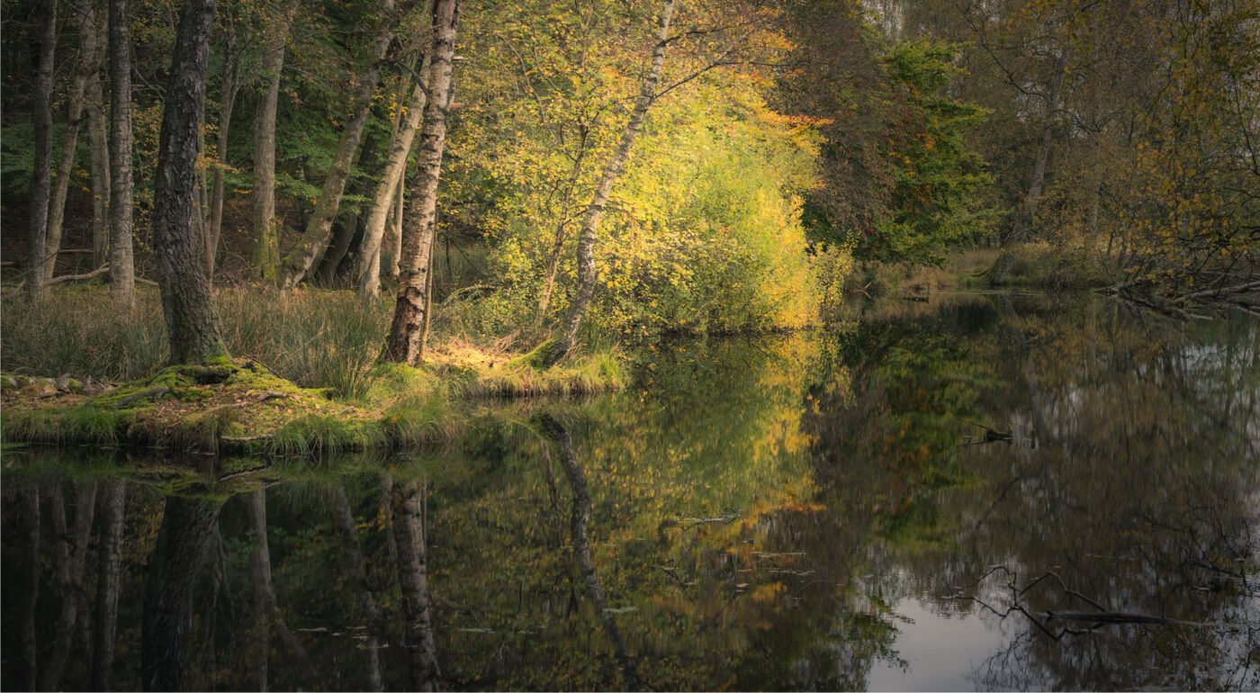 Julsø lake reflection autumn colours