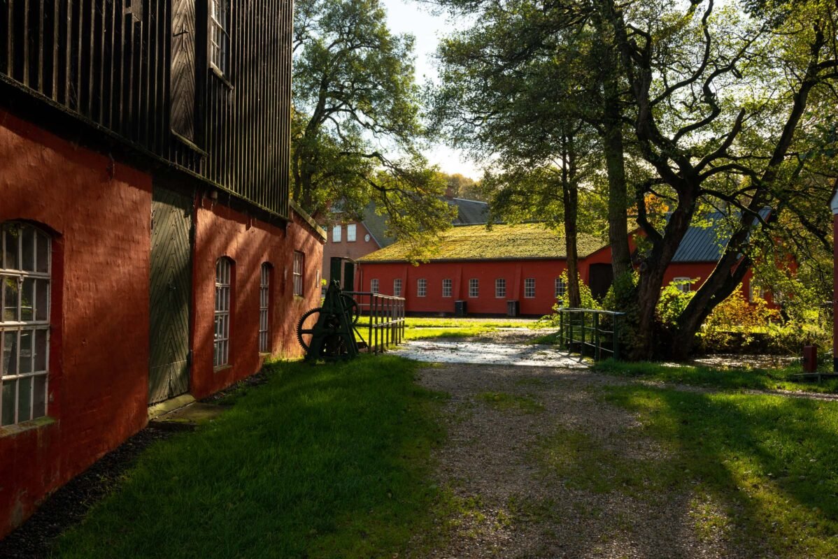 Klostermølle Mossø reed beds