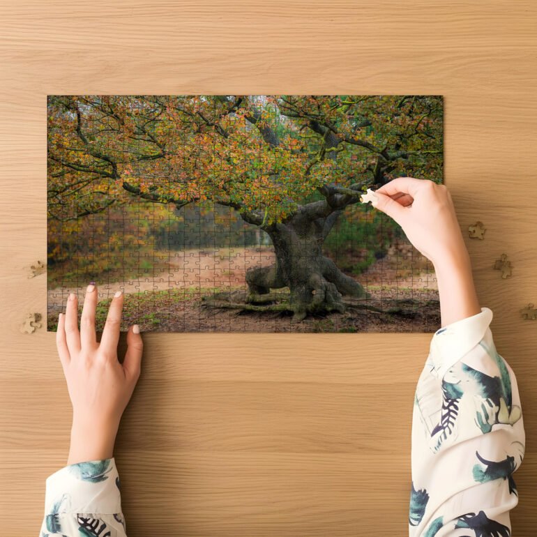 puzzel van oude eikeboom