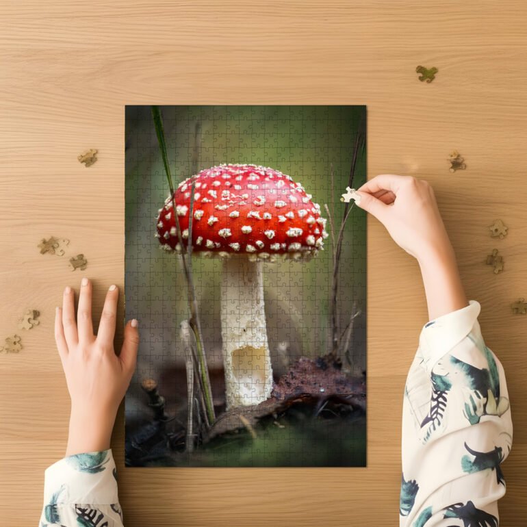 puzzel van vliegenzwam