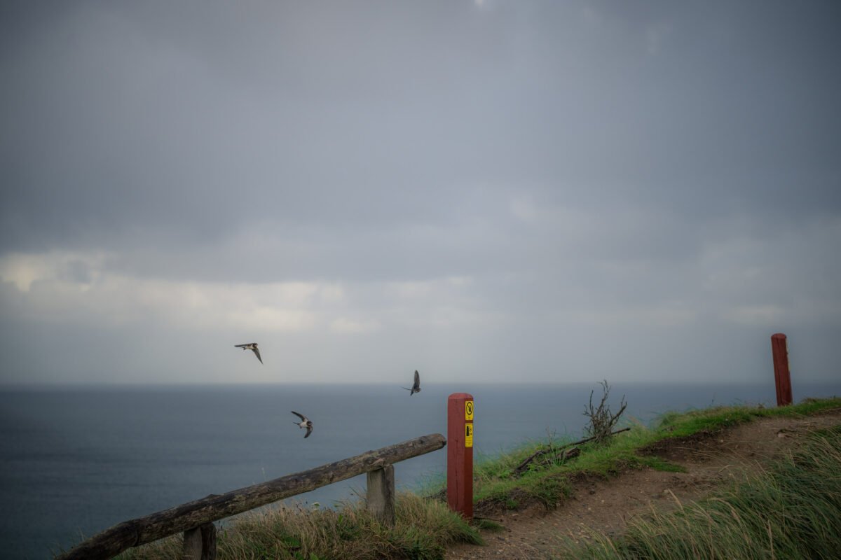 Waves North Sea coast