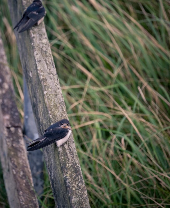 Lild Strand fishing village
