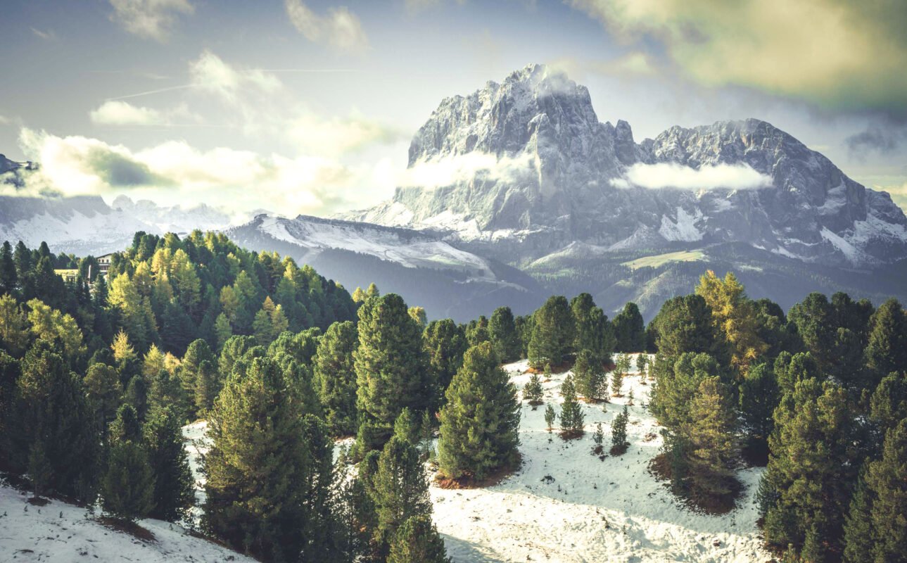 Alpine meadows Col Raiser morning light