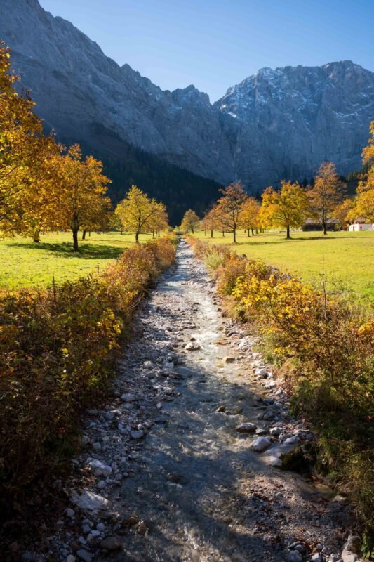 Maple silhouette Karwendel mountains