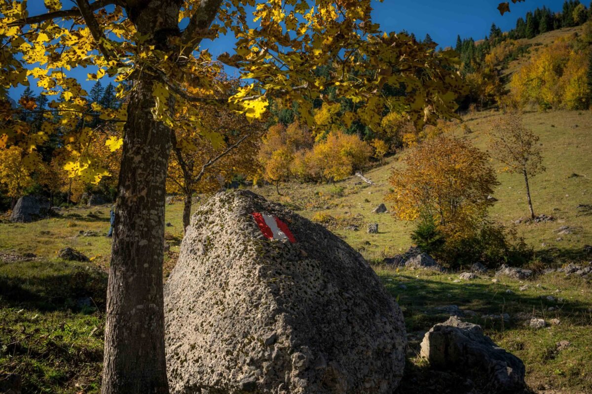 Hiking trail Binsalm Karwendel view
