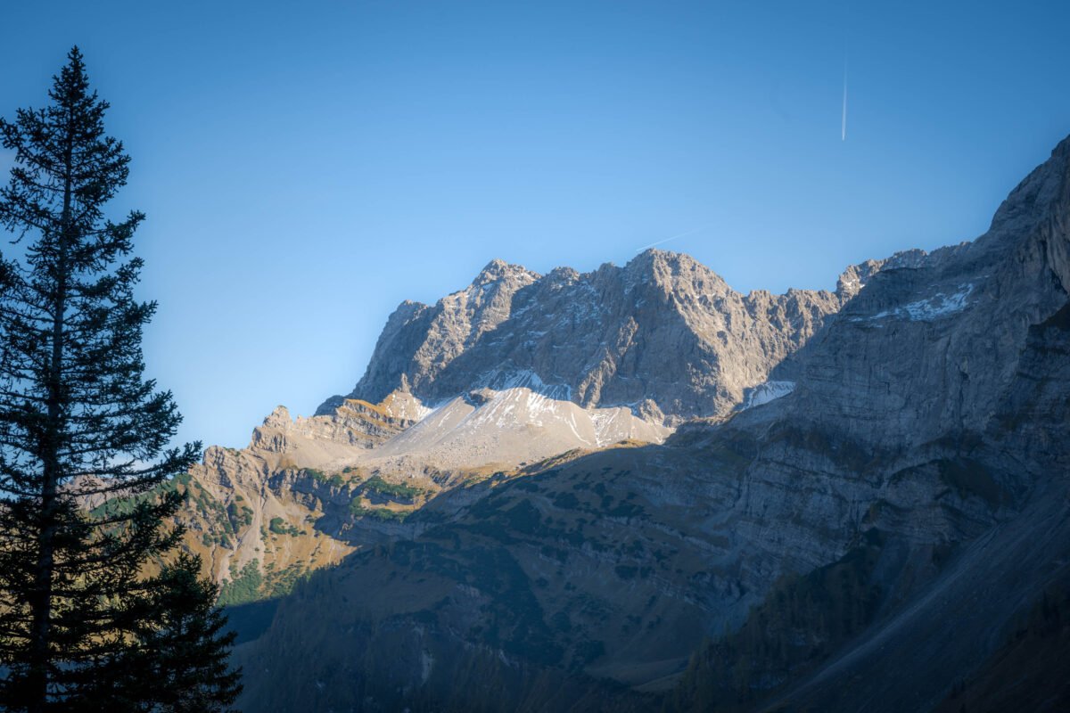 Cows Eng Alm pasture mountains