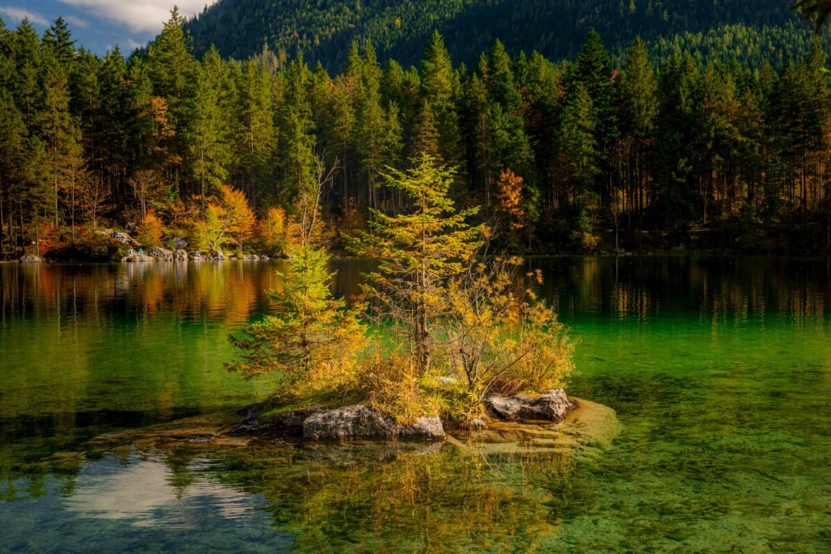 Zauberwald toverbos mos rotsen rivier Ramsau