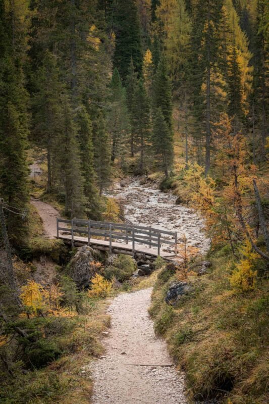 Autumn detail in the Dolomites