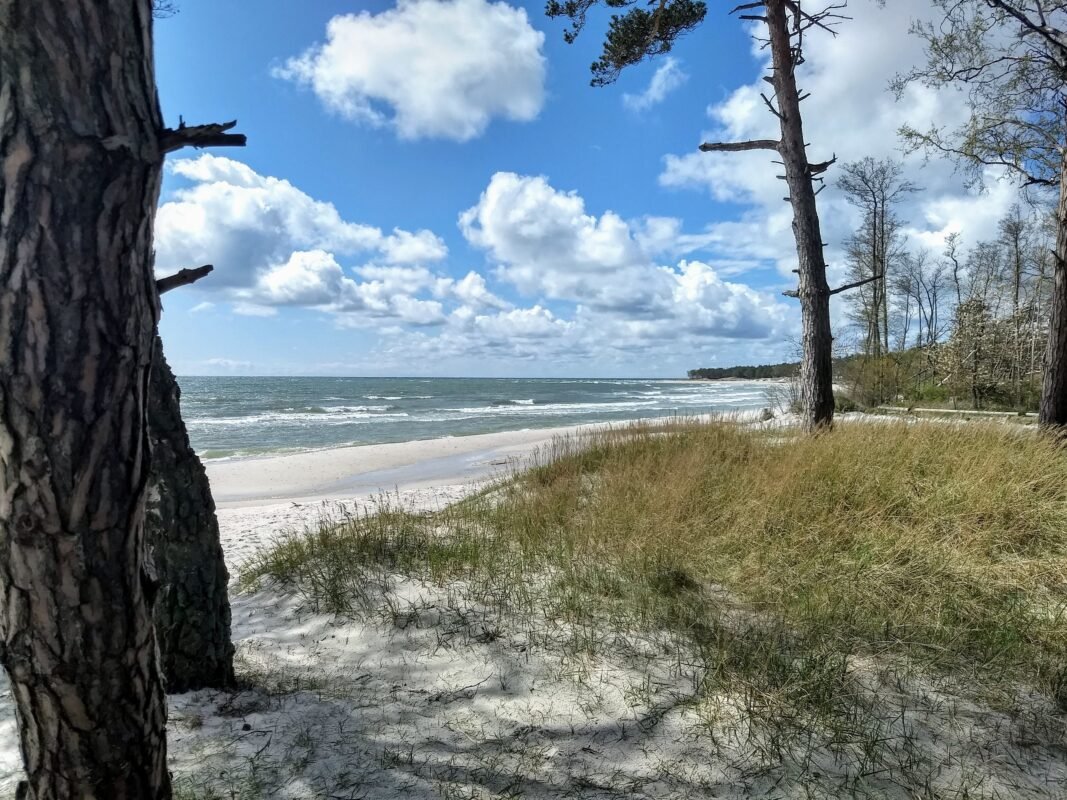 Dueodde dunes landscape