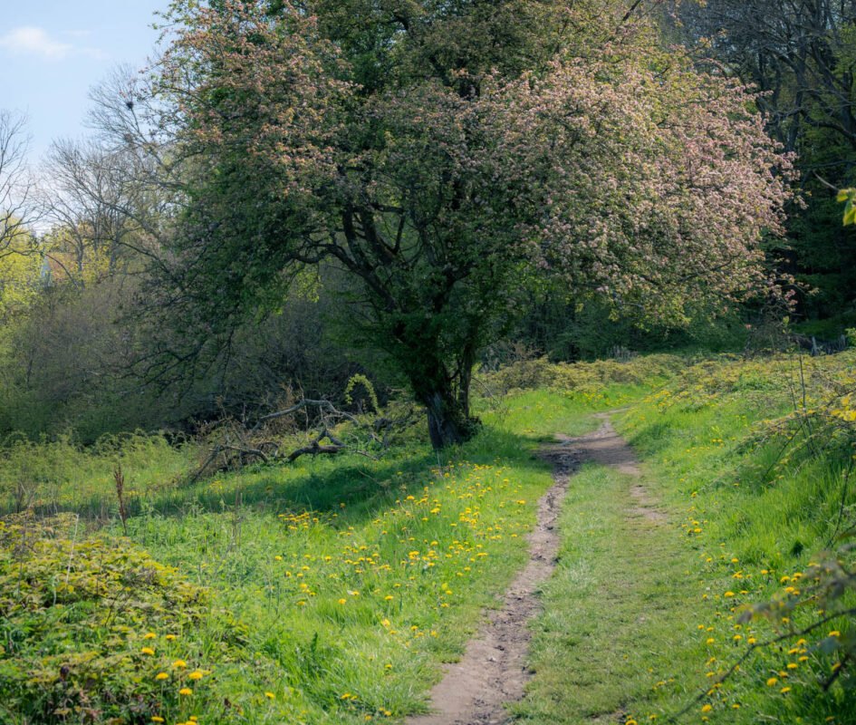 Rock formation with erosion patterns Helligdomsklipperne