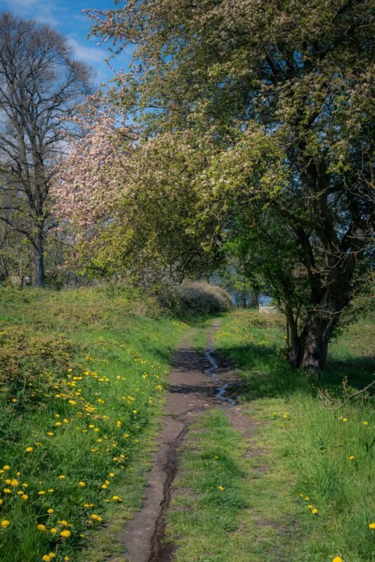 Vertical image granite cliffs Bornholm