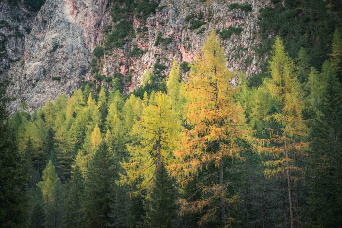 Steep rock walls that border the Vallunga valley on both sides
