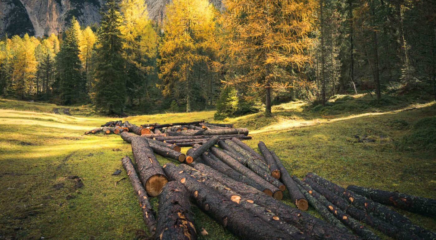 View towards the mountain peaks of the Puez-Odle massif from Vallunga