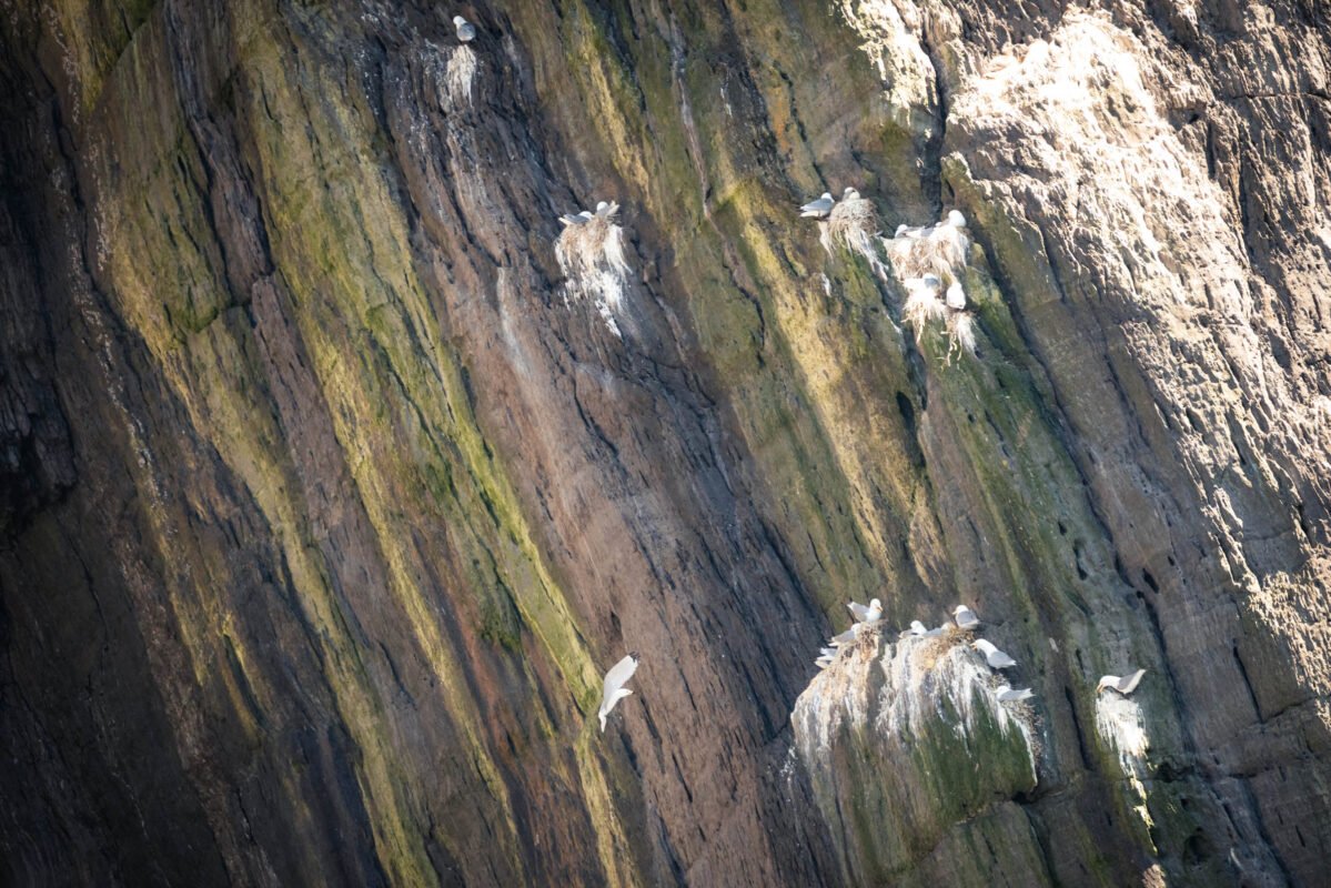 Kliffen en oceaan bij Bray Head