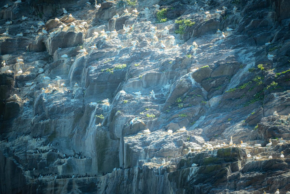 Detail van bijenkorfhut met droge steenconstructie