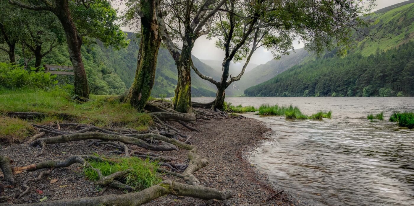 Keltisch kruis met grafstenen op het kerkhof van Glendalough